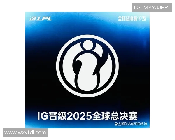 BLG在S15电竞总决赛中的反击策略与成败分析