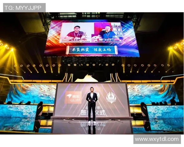 电竞数据助力黄敏的王者荣耀之路深度探讨与人生启示